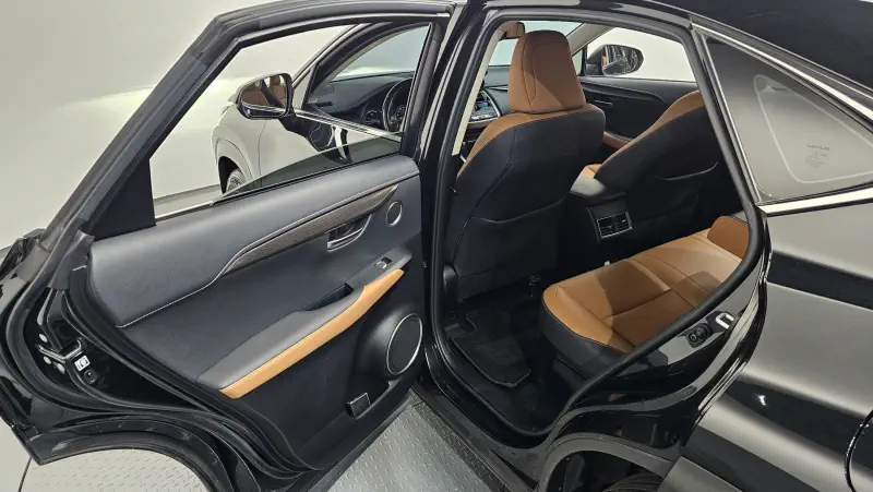 Lexus NX300h