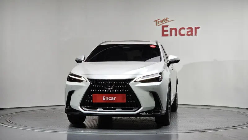 Lexus NX450h+
