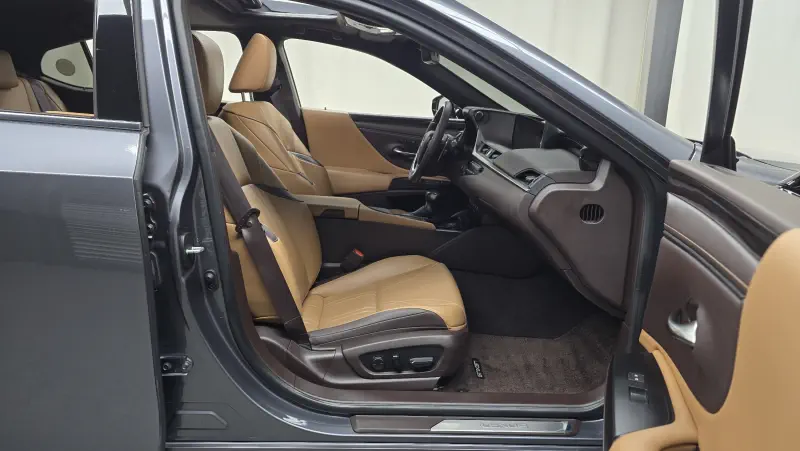 Lexus ES300h