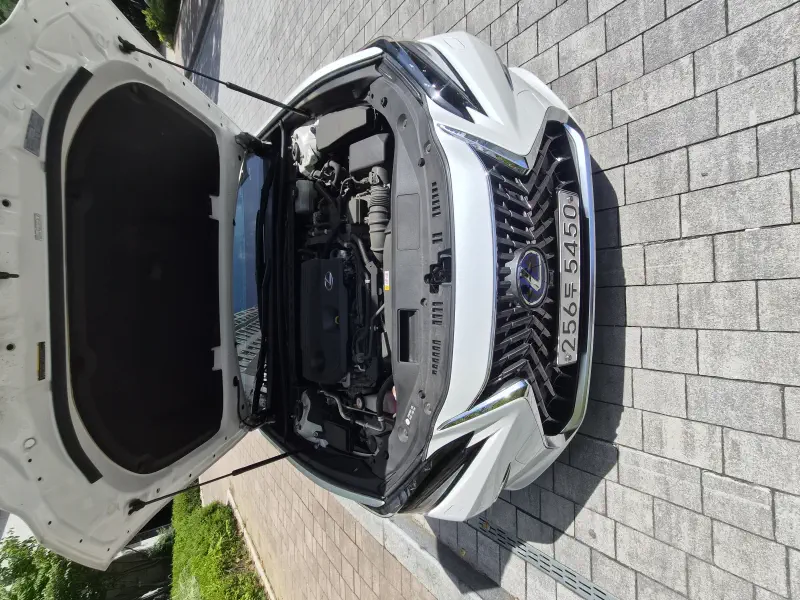 Lexus ES300h