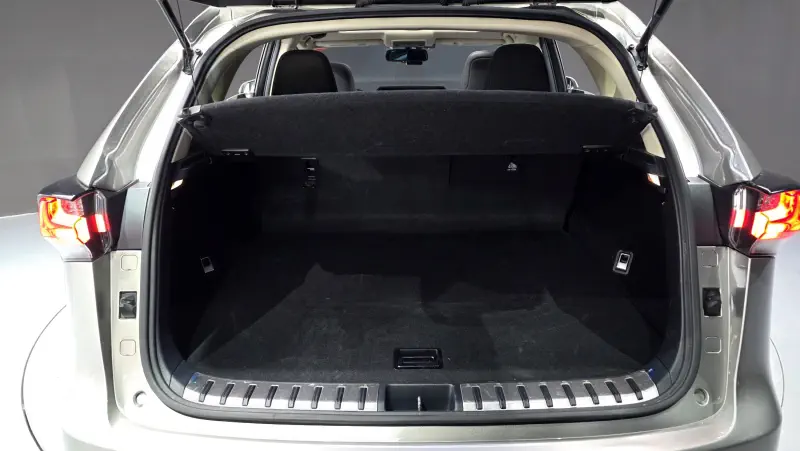 Lexus NX300h