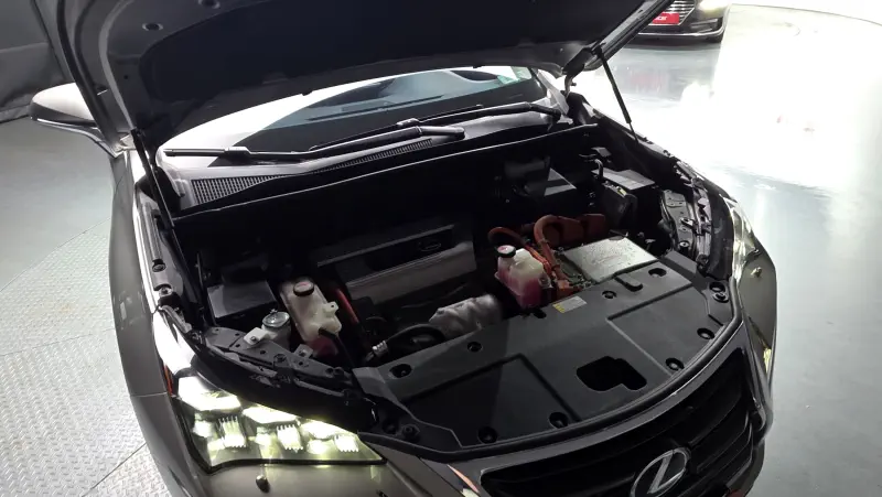 Lexus NX300h