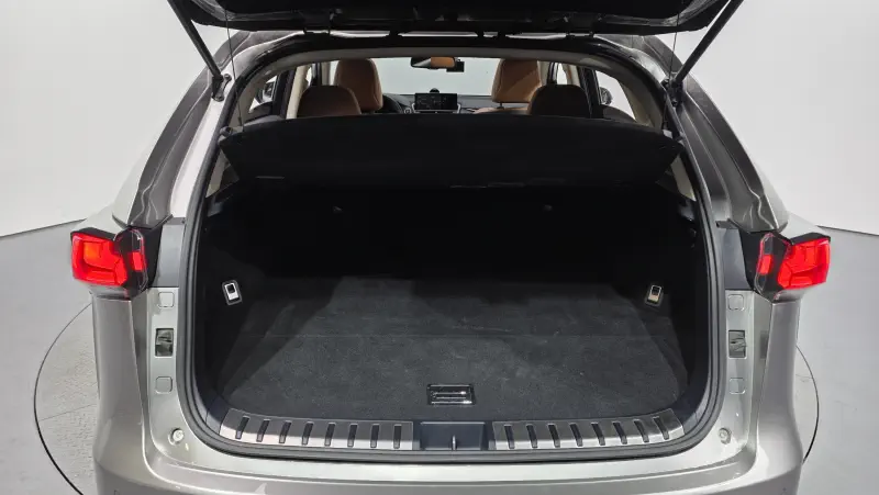 Lexus NX300h