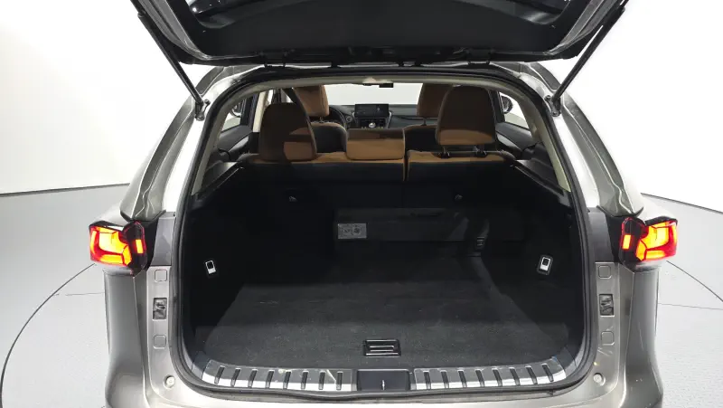 Lexus NX300h