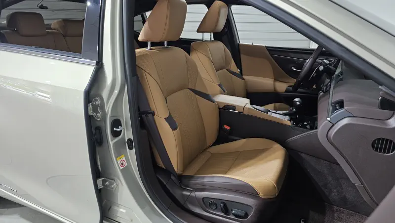 Lexus ES300h