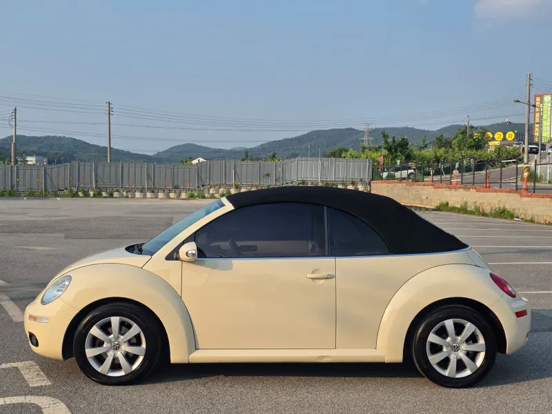 Volkswagen Beetle