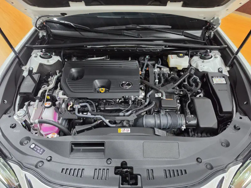 Lexus ES300h