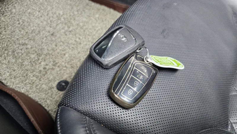 Hyundai Aslan