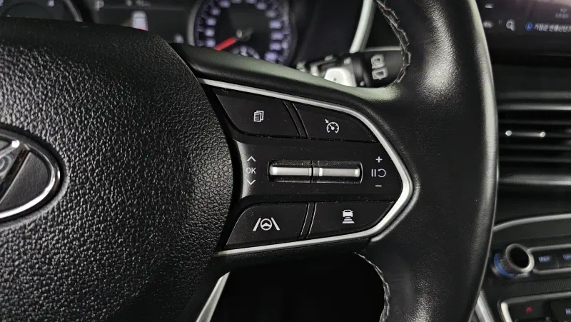 Hyundai Santa Fe 2021 - фото 16
