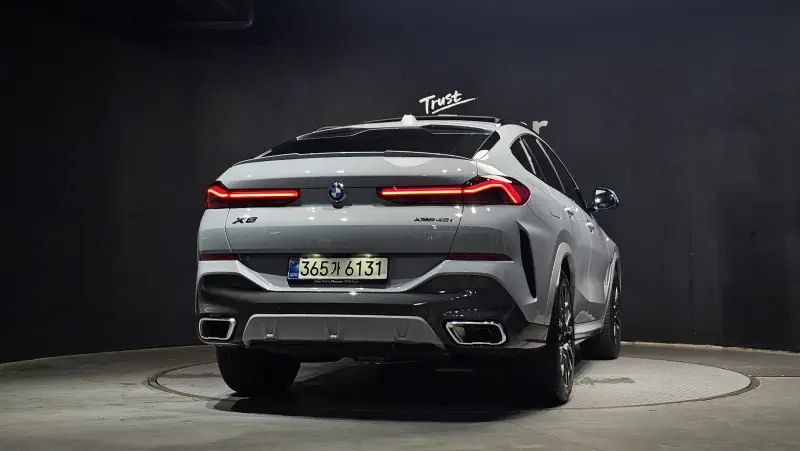 BMW X6