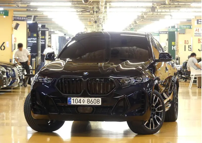 BMW X6