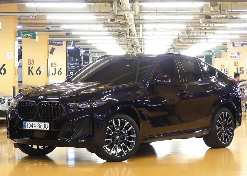 BMW X6