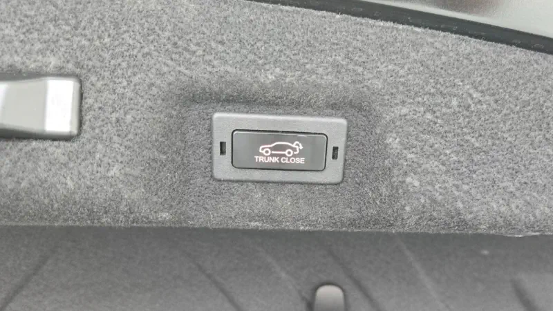 SsangYong Chairman W