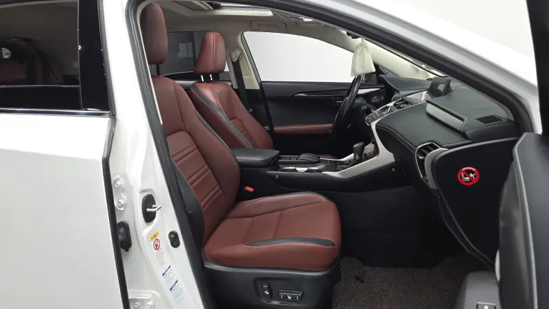 Lexus NX300h