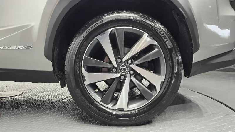 Lexus NX300h