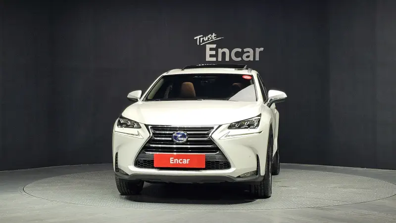 Lexus NX300h