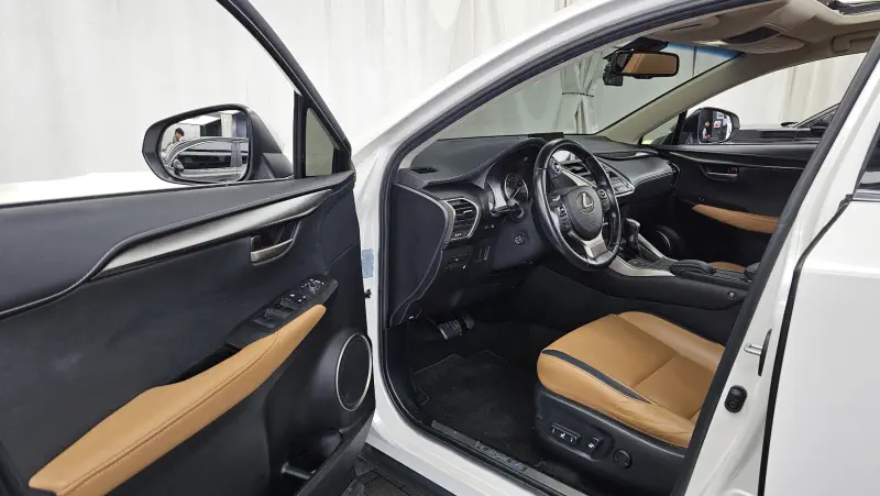 Lexus NX300h