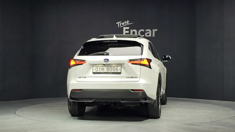 Lexus NX300h