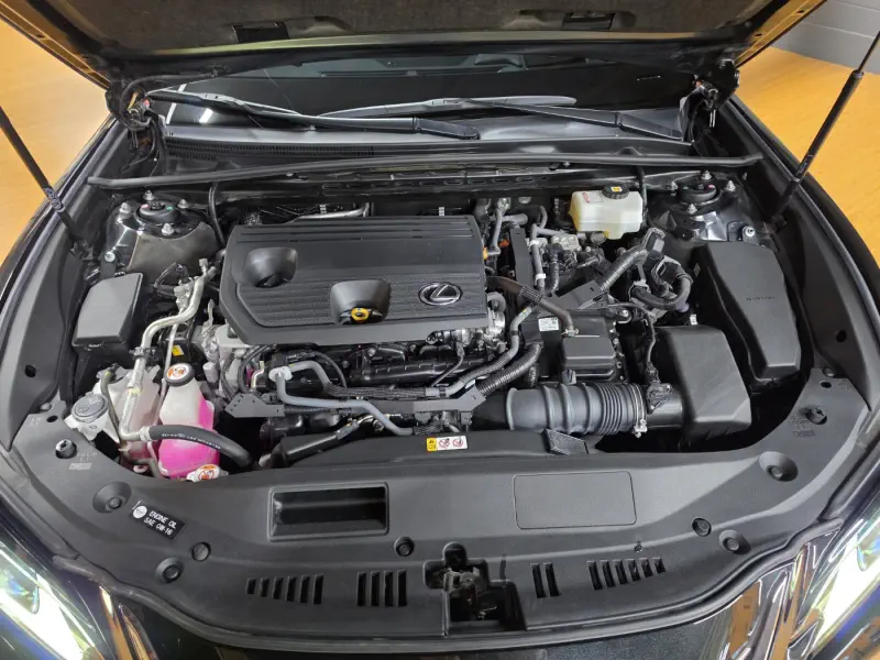 Lexus ES300h