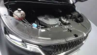Купить Kia Carnival Gyeonggi из Кореи, превью 6