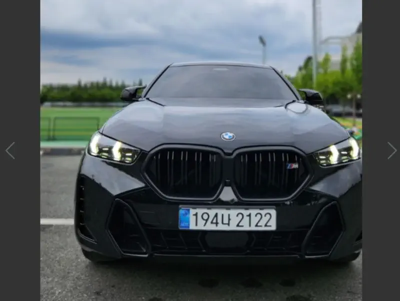 BMW X6
