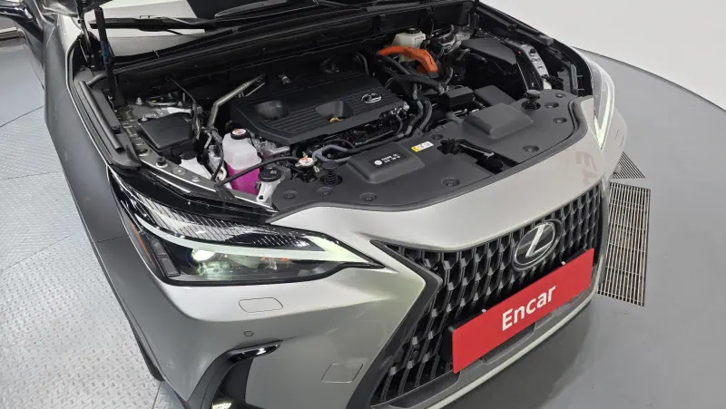 Lexus NX350h