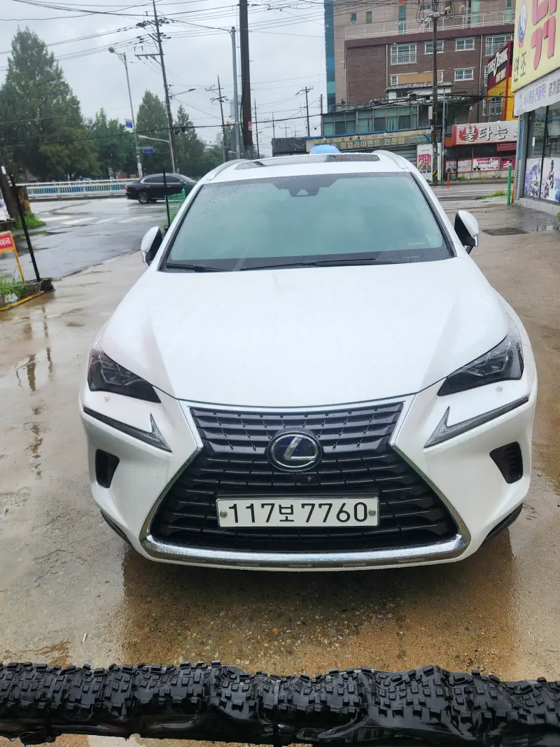 Lexus NX300h