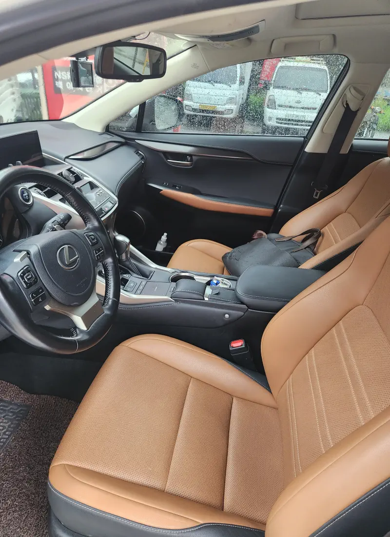 Lexus NX300h