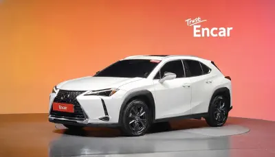 Lexus UX 2023, 2.0 л, 26 233 км — купить с аукциона Кореи