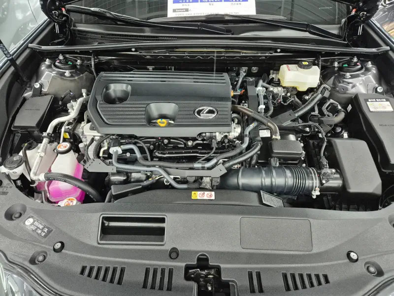 Lexus ES300h
