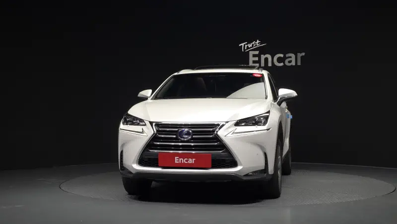 Lexus NX300h