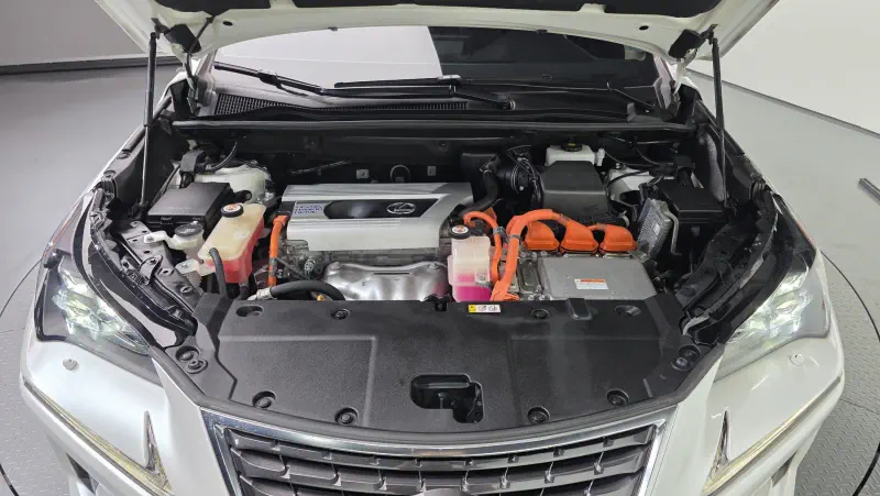 Lexus NX300h