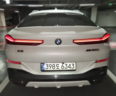 BMW X6