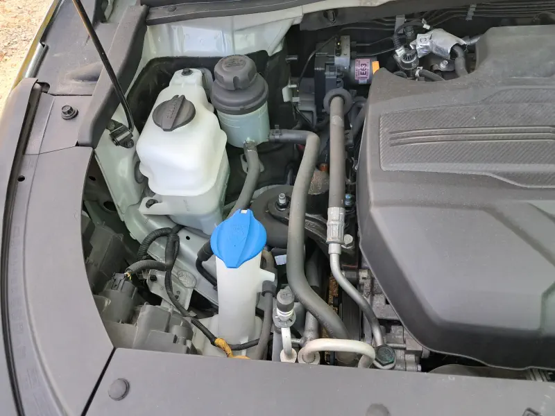 Kia Carnival 2019 - фото 6
