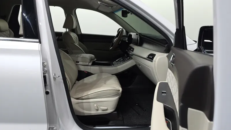 Hyundai Palisade 2020 - фото 11