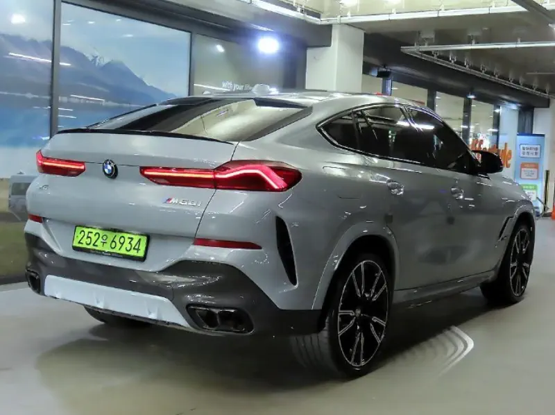 BMW X6