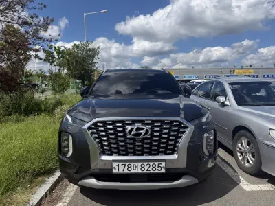 Hyundai Palisade 3