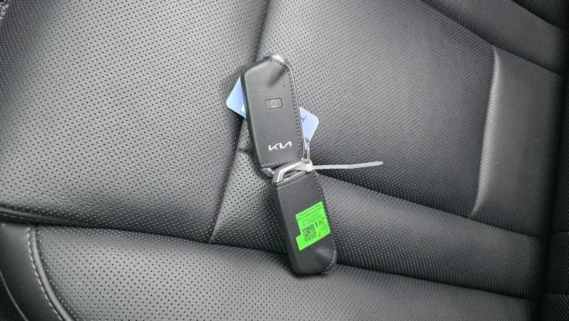 Kia K9