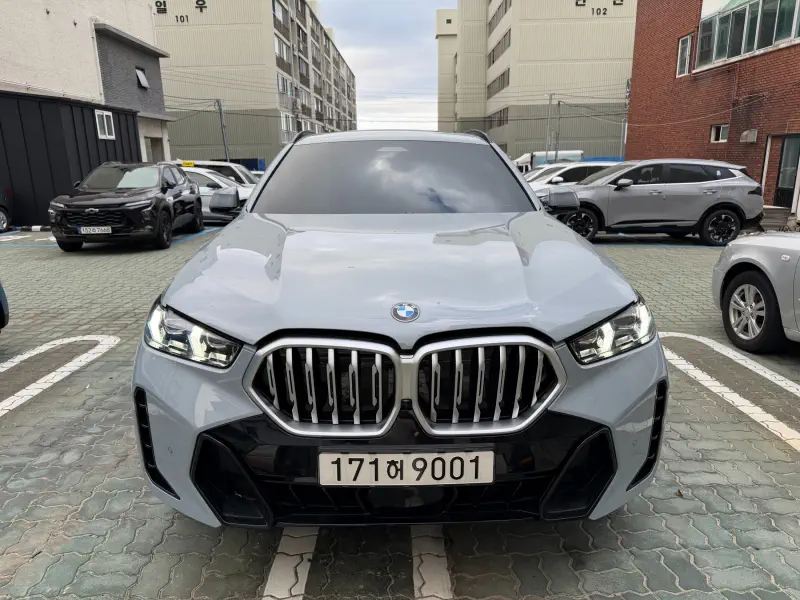 BMW X6
