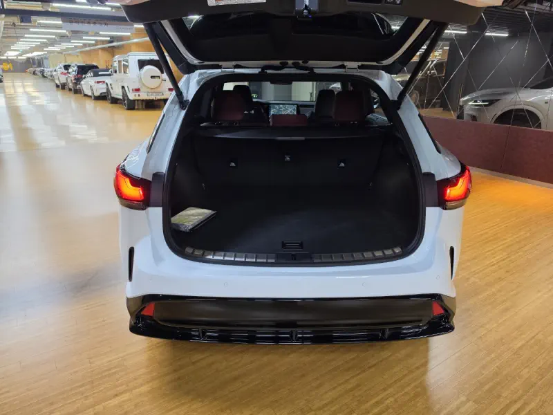 Lexus RX500h