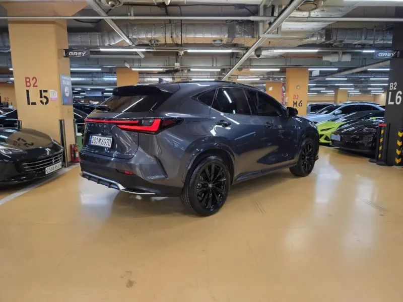 Lexus NX450h+