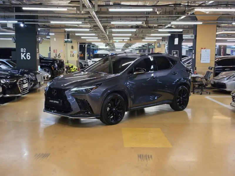 Lexus NX450h+