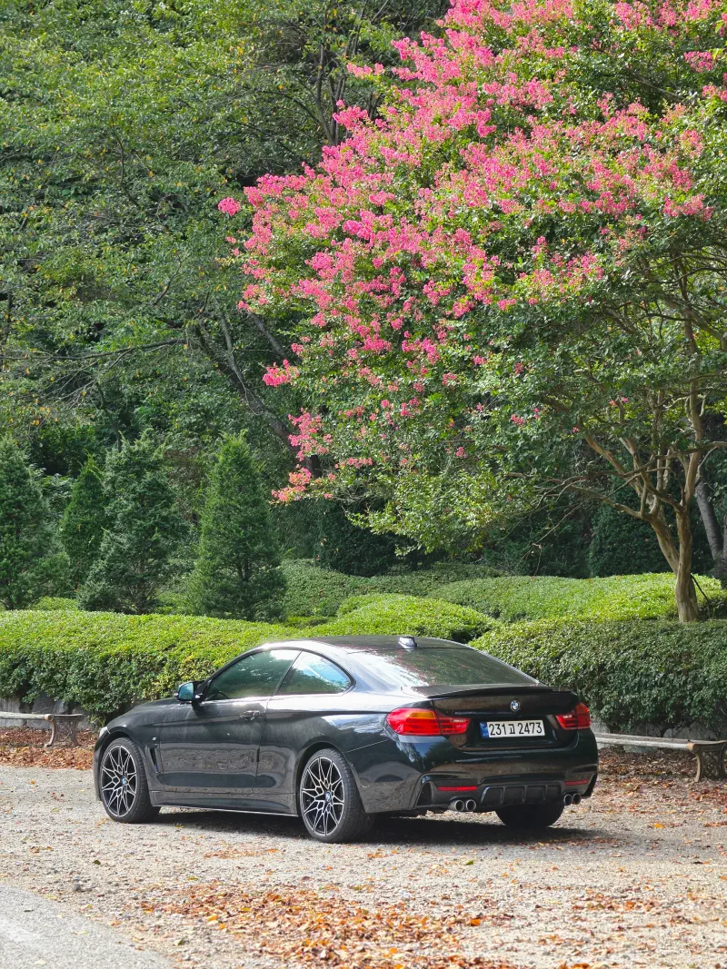 BMW 4-Series