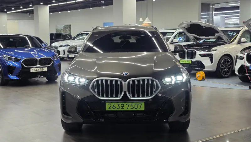 BMW X6