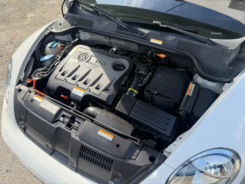Volkswagen Beetle