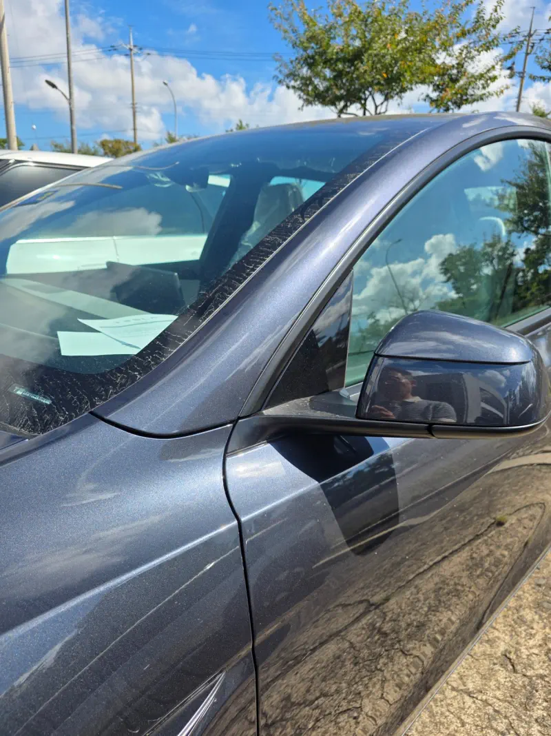 Купить Tesla Model Y Jeju из Кореи