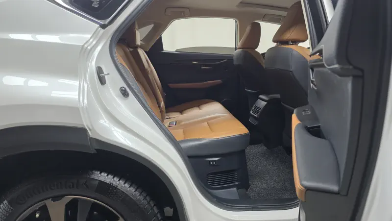 Lexus NX300h