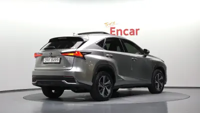 Lexus NX300h