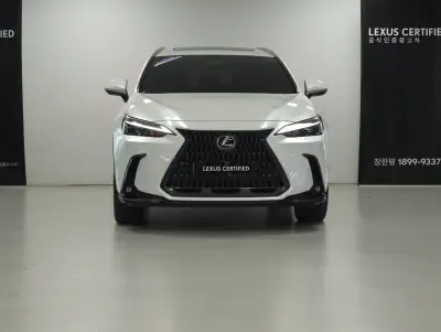 Lexus NX450h+