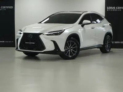 Lexus NX450h+